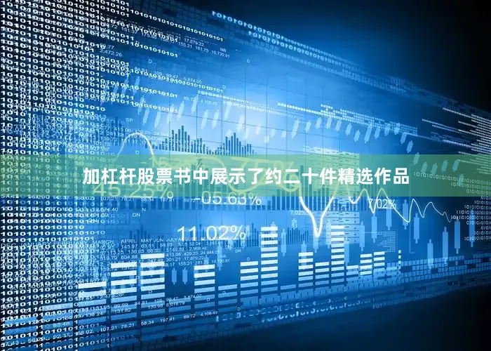 加杠杆股票书中展示了约二十件精选作品