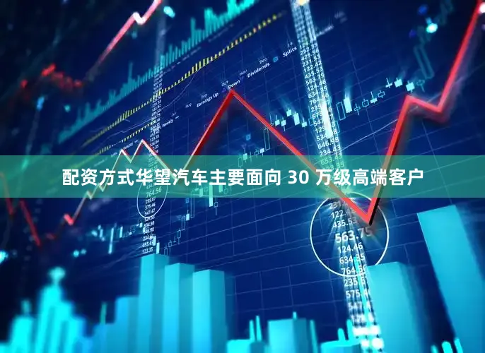 配资方式华望汽车主要面向 30 万级高端客户