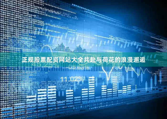 正规股票配资网站大全共赴与荷花的浪漫邂逅
